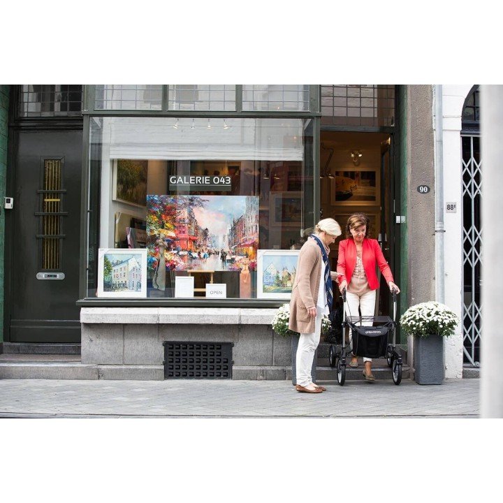 Andador Rollator Gemino 60 Sunrise Medical