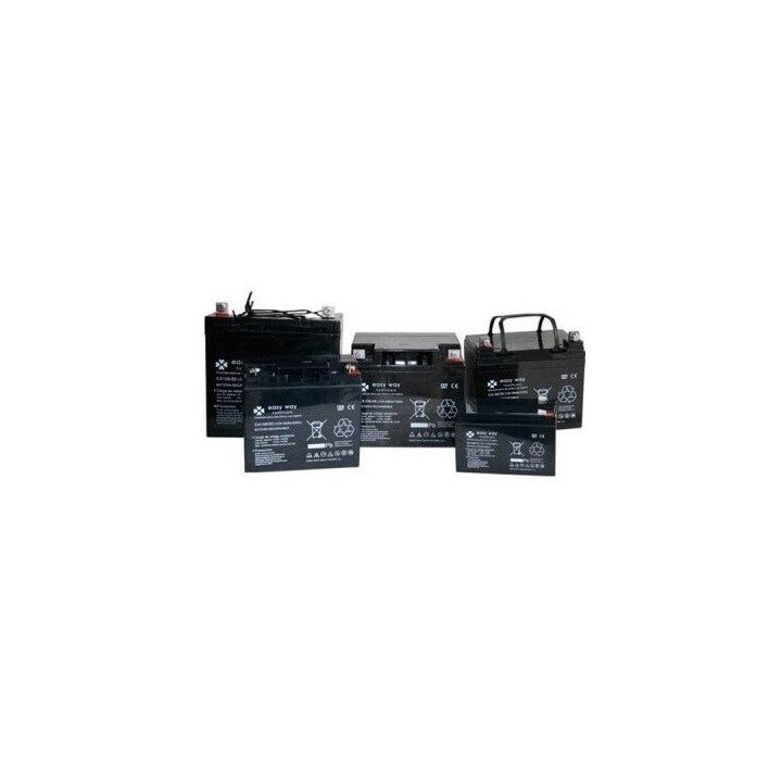 Batería Repuesto Silla De Ruedas  Libercar Mistral 10Ah