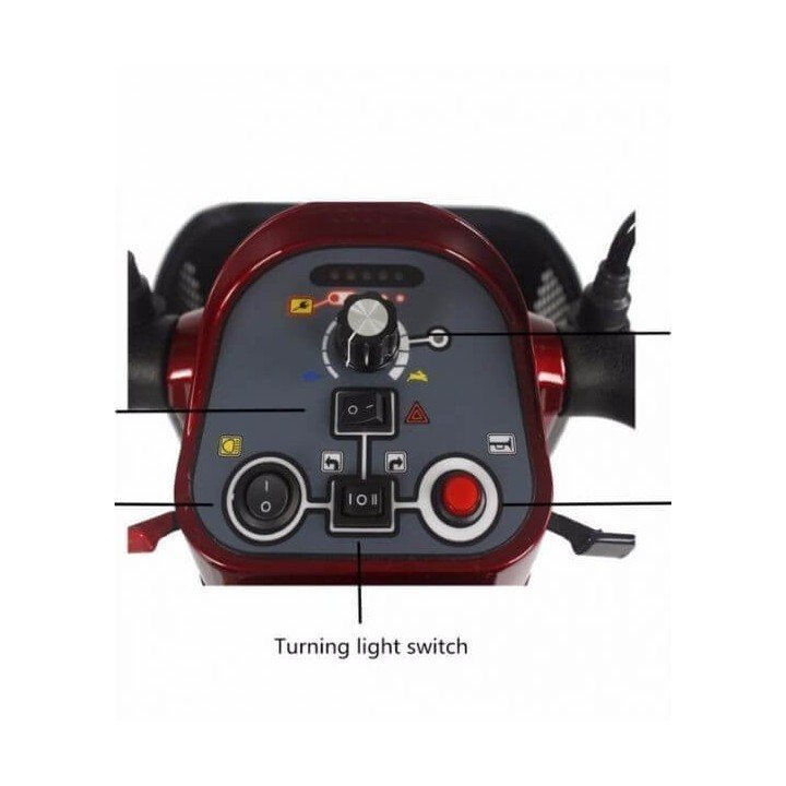 Scooter Eléctrico NICO 4046-Biplaza