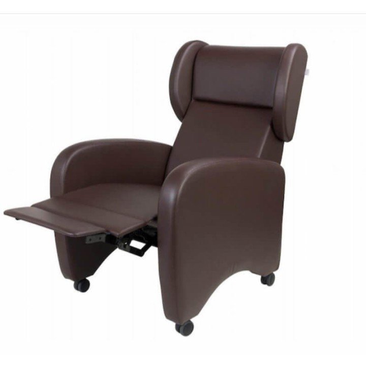 Sillón Reclinable con Ruedas EXÓTICO |Envío gratis