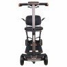 Scooter eléctrico plegable Modena Carbon